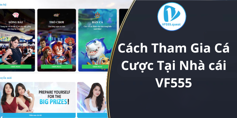 Cách Tham Gia Cá Cược Tại Nhà cái VF555